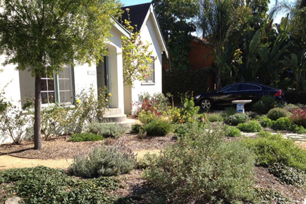 Advocating for Water Conservation in California